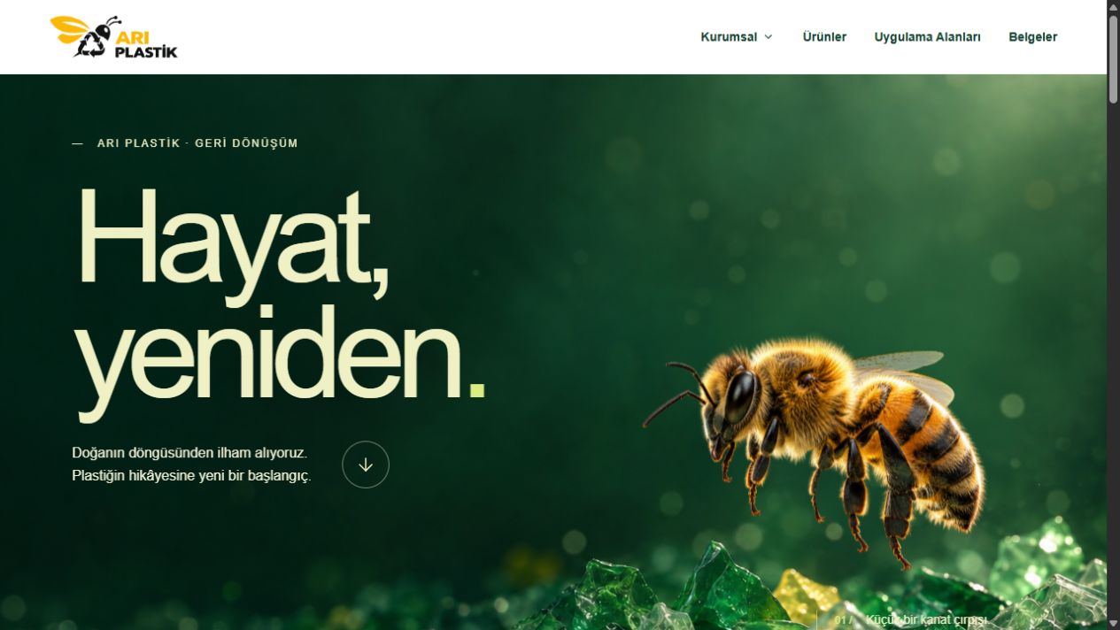 Arı Plastik web sitesi tasarımından görünüm