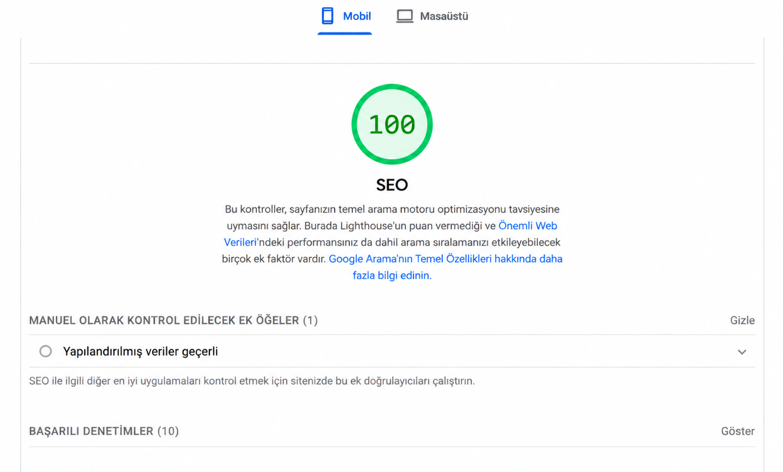 DMU tarafından paylaşılan SEO 100 ve ek manuel kontroller rapor ekranı